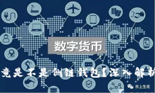 tpWallet究竟是不是侧链钱包？深入解析与使用指南
