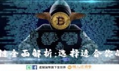 tpWallet支持的公链全面解析：选择适合你的数字资