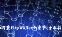 如何获取tpWallet的资产：全面指南