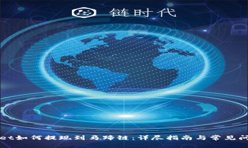 tpWallet如何提现到马蹄链：详尽指南与常见问题解析