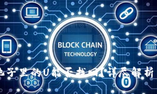 tpWallet池子里的U能否找回？详尽解析与案例分析