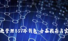 如何高效管理BSV冷钱包：全面指南与实用技巧