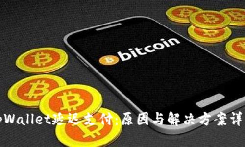 tpWallet延迟支付：原因与解决方案详解