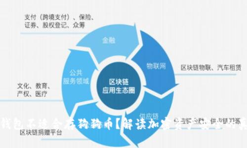 冷钱包不适合存狗狗币？解读加密资产安全的真相