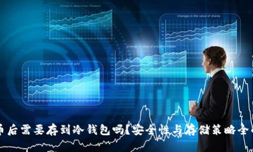 买币后需要存到冷钱包吗？安全性与存储策略全解析