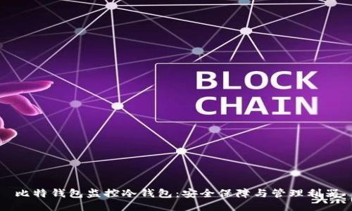 比特钱包监控冷钱包：安全保障与管理利器