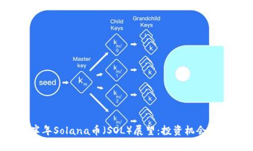 2023下半年Solana币（SOL）展望：投资机会与市场分析