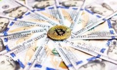 注意：以下内容仅为示例，详细介绍及撰写需根