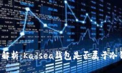深入解析：Kadsea钱包是否属于冷钱包？