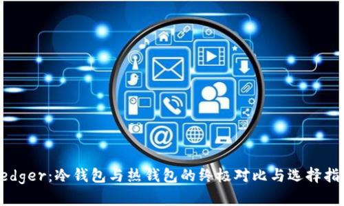 Ledger：冷钱包与热钱包的终极对比与选择指南