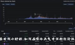 冬季省钱小妙招：如何在寒冷天气中保持经济温
