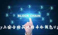 如何在eBay上安全购买比特币冷钱包U盘：全面指南