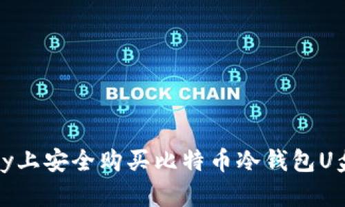 如何在eBay上安全购买比特币冷钱包U盘：全面指南