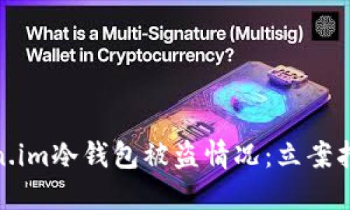 如何处理Token.im冷钱包被盗情况：立案指南与应对措施