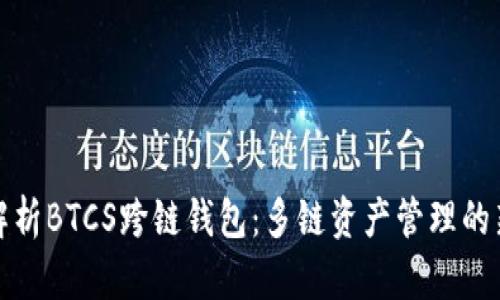 全面解析BTCS跨链钱包：多链资产管理的新选择