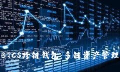 全面解析BTCS跨链钱包：多链资产管理的新选择