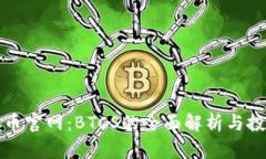 中本聪币官网：BTCS的全面解析与投资策略