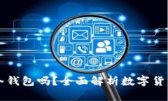 国内可以使用冷钱包吗？全面解析数字货币安全