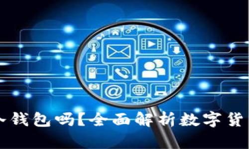 国内可以使用冷钱包吗？全面解析数字货币安全存储方式