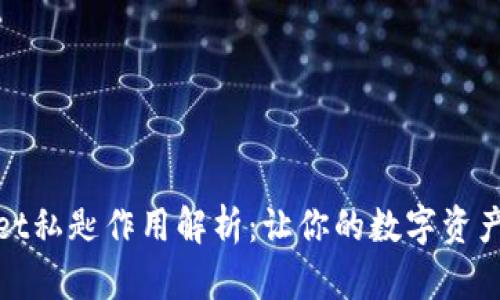 : tpWallet私匙作用解析：让你的数字资产安全无忧