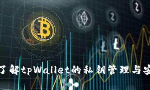 全面了解tpWallet的私钥管理与安全性