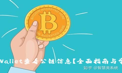 如何使用tpWallet查看公链信息？全面指南与常见问题解答