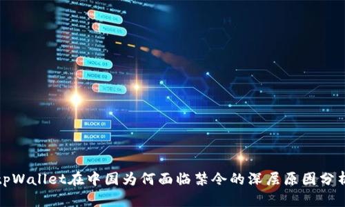 tpWallet在中国为何面临禁令的深层原因分析